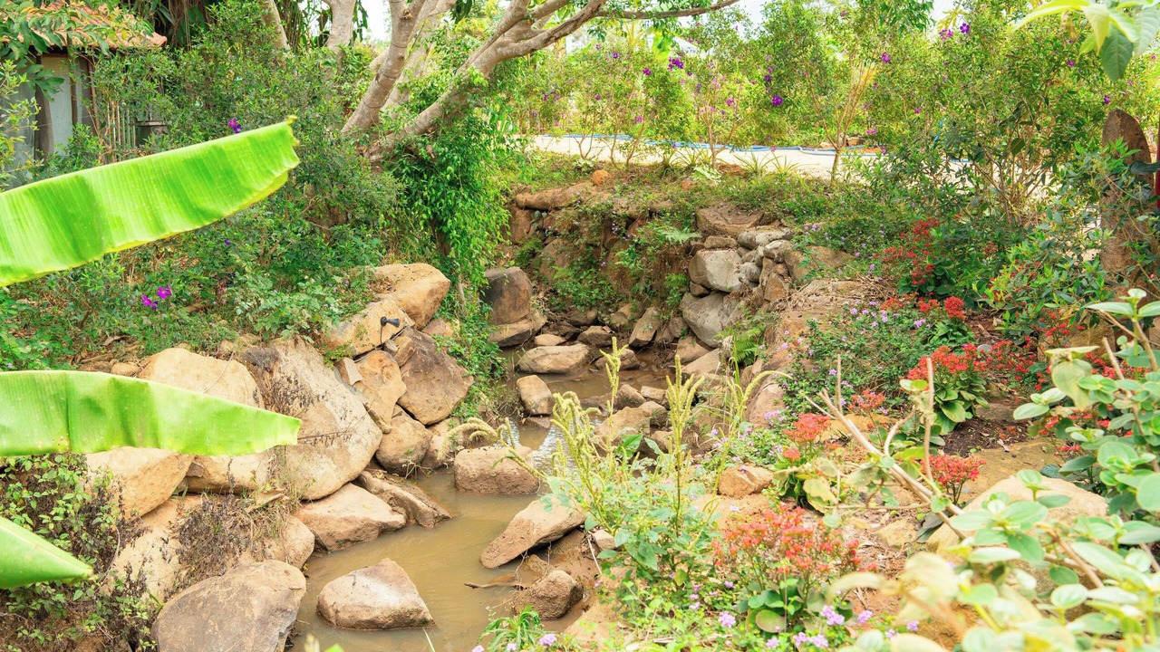 Photo of Outdoor in Di Linh