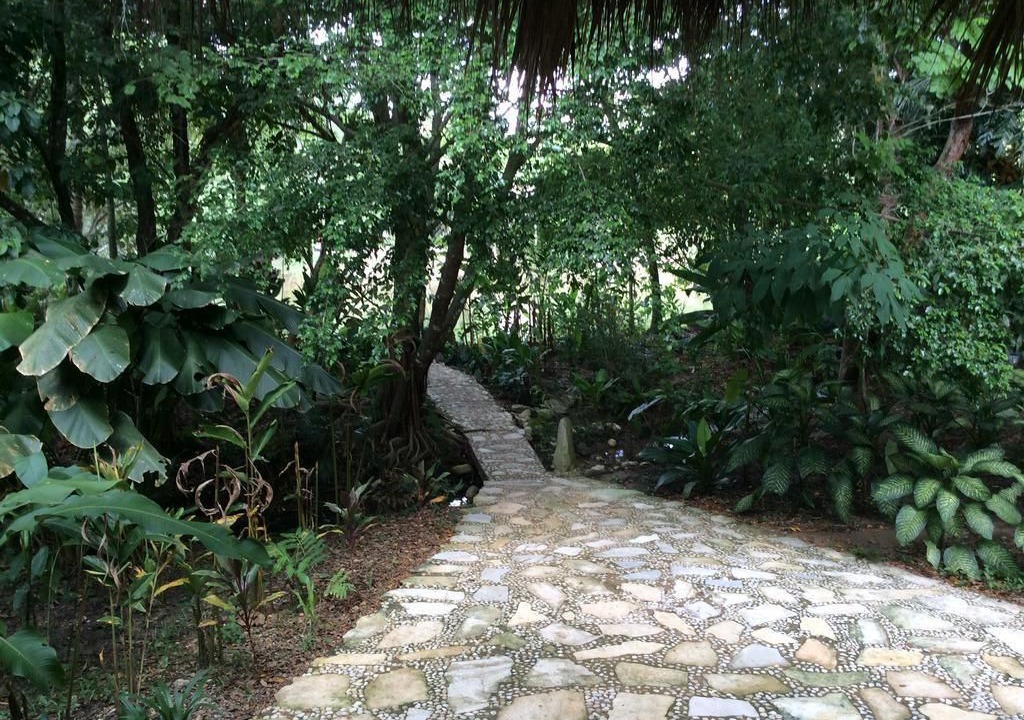 Photo of Outdoor in Palenque