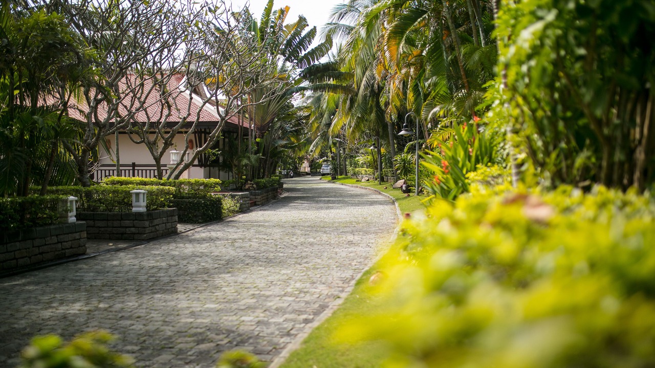 Photo of Outdoor in Son Tra