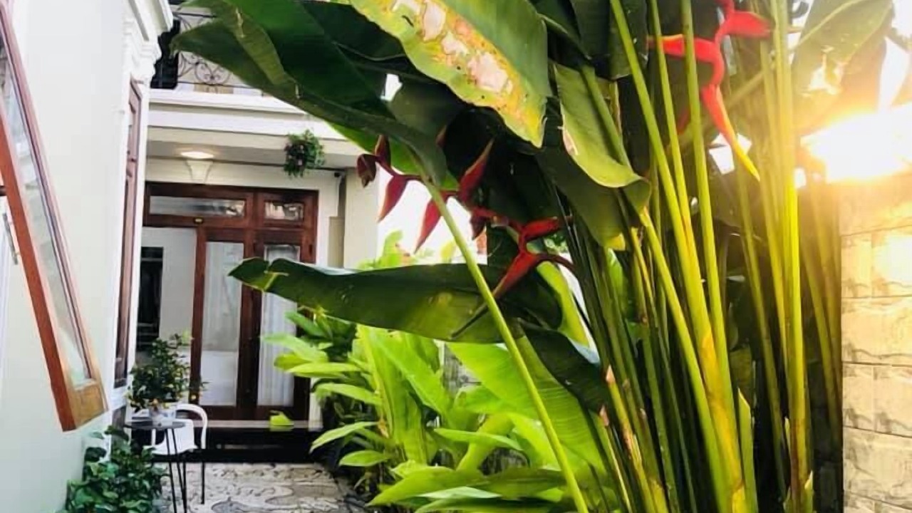 Photo of Outdoor in Hoi An City Centre