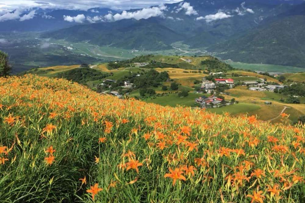 Photo of Outdoor in Yuli