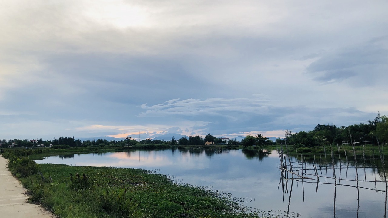 Photo of Others in Da Nang