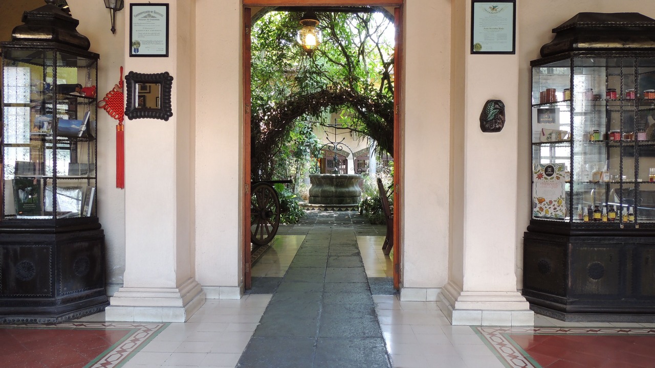 Photo of Others in Coatepec