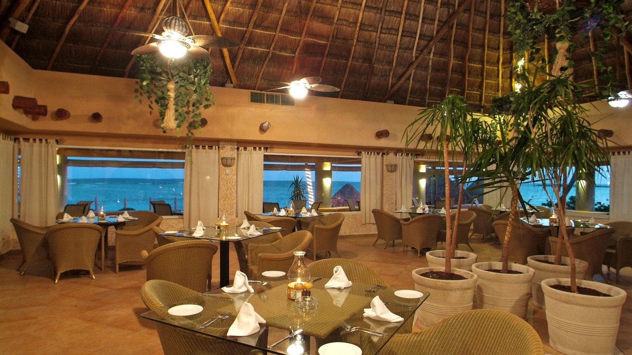 Photo of Others in Puerto Aventuras
