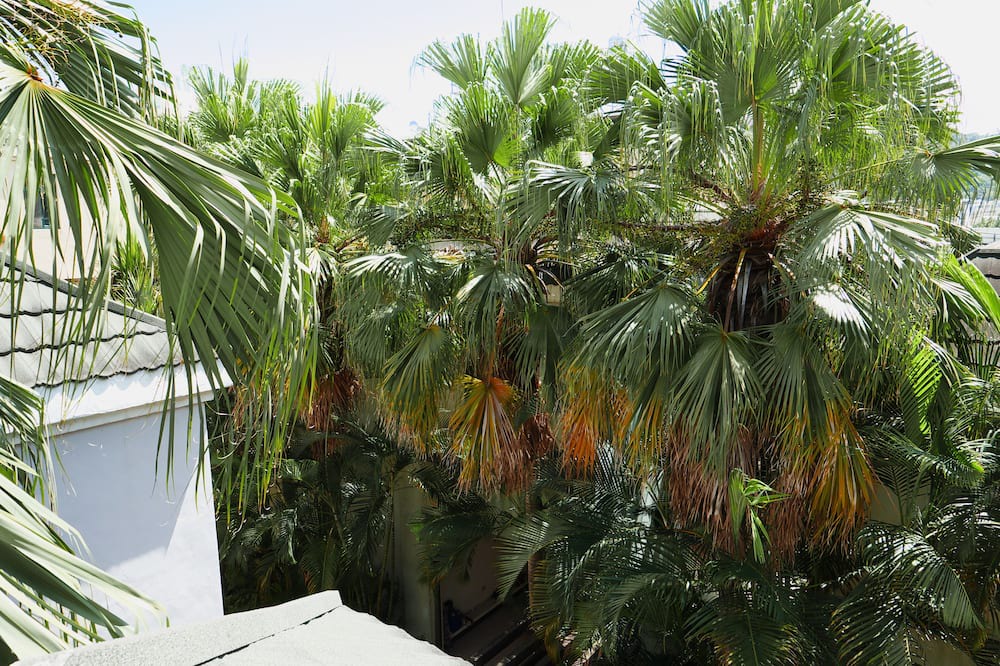 Photo of Outdoor in Fengyuan District