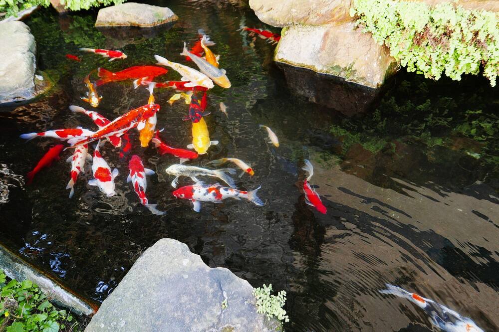 Photo of Outdoor in Fengyuan District