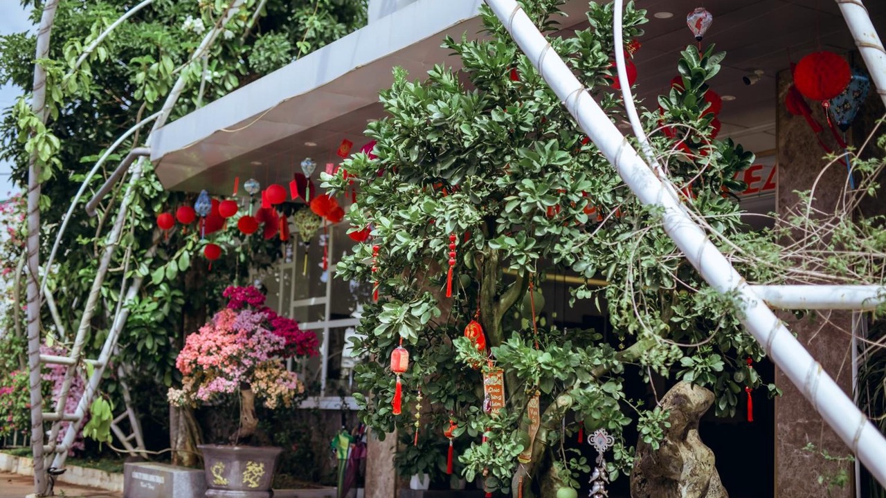 Photo of Outdoor in Bao Loc