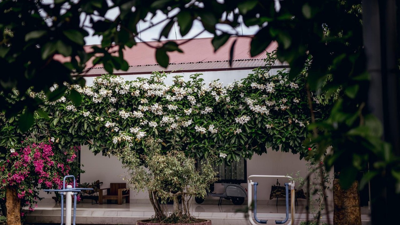 Photo of Outdoor in Bao Loc
