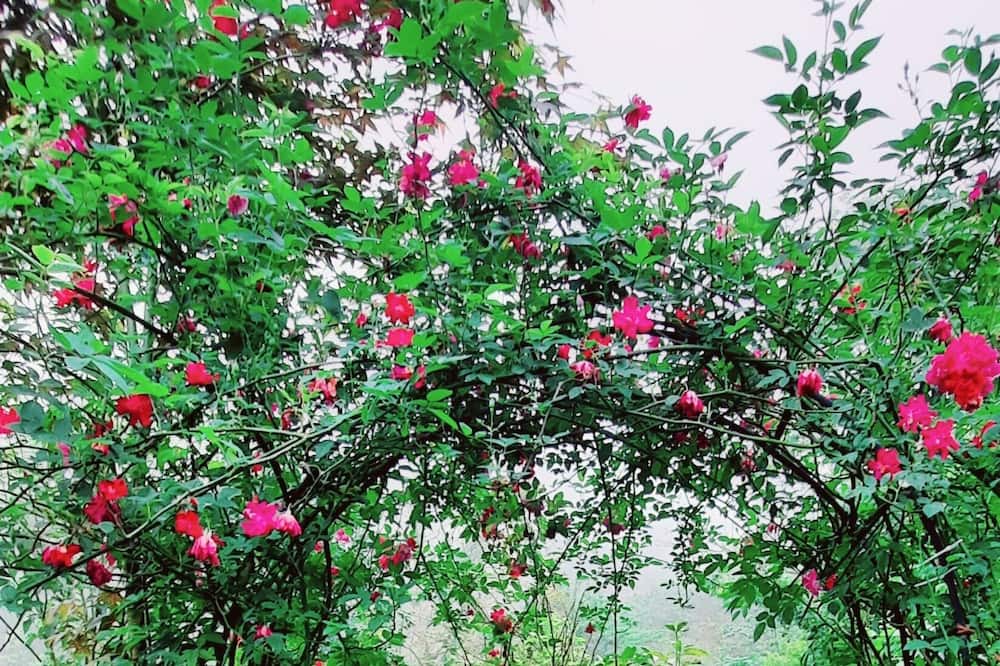 Photo of Outdoor in Jianshi