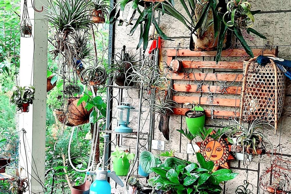 Photo of Outdoor in Jianshi