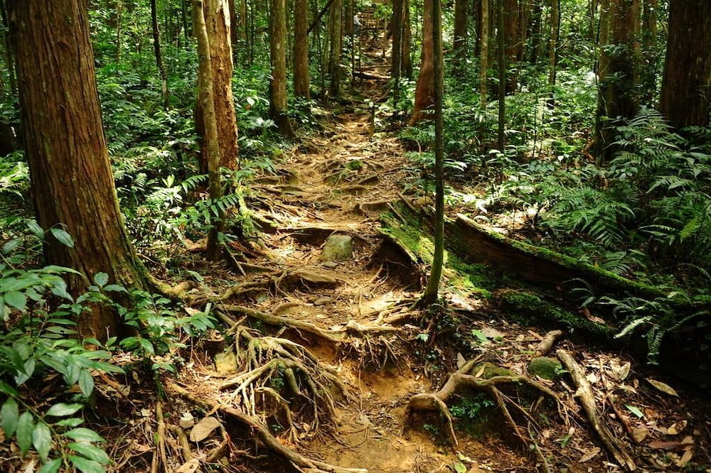 Photo of Outdoor in Jianshi