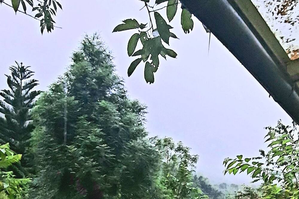 Photo of Patio Balcony in Jianshi