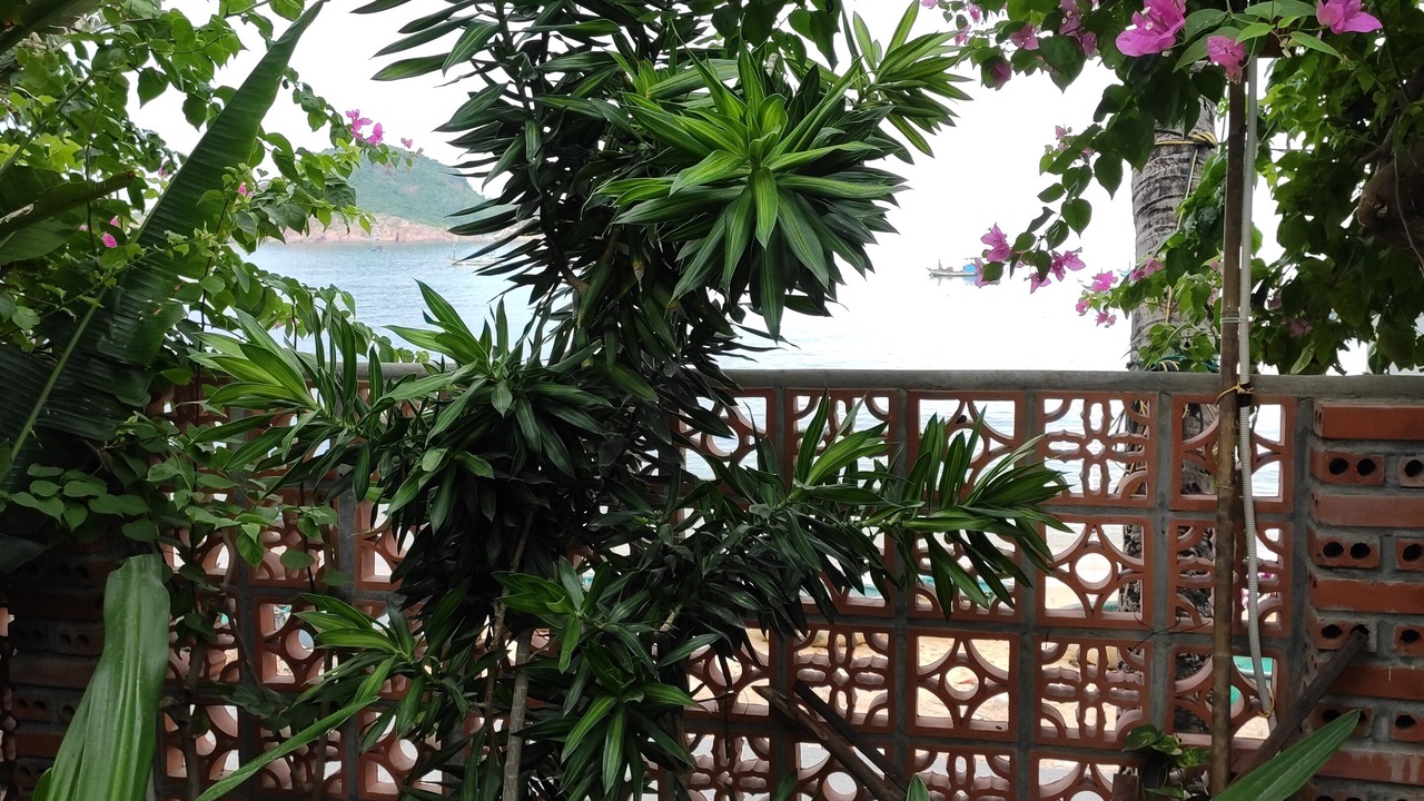 Photo of Outdoor in Quy Nhon