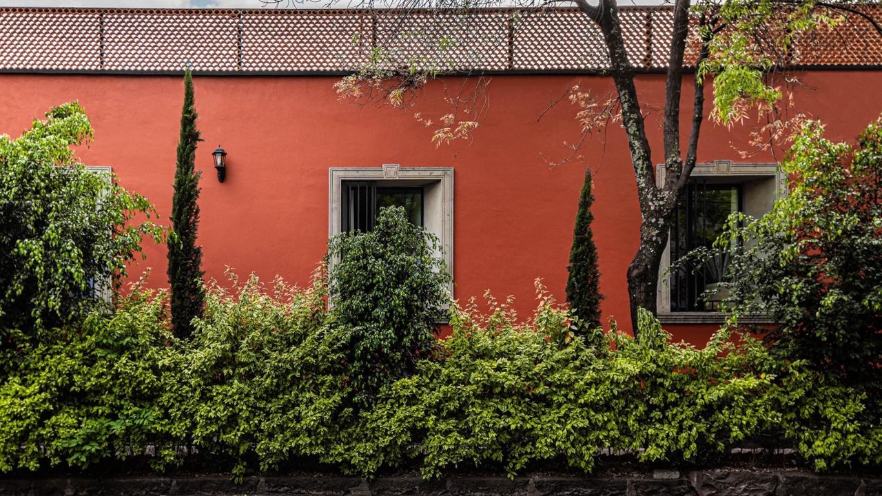 Photo of Outdoor in Coyoacan