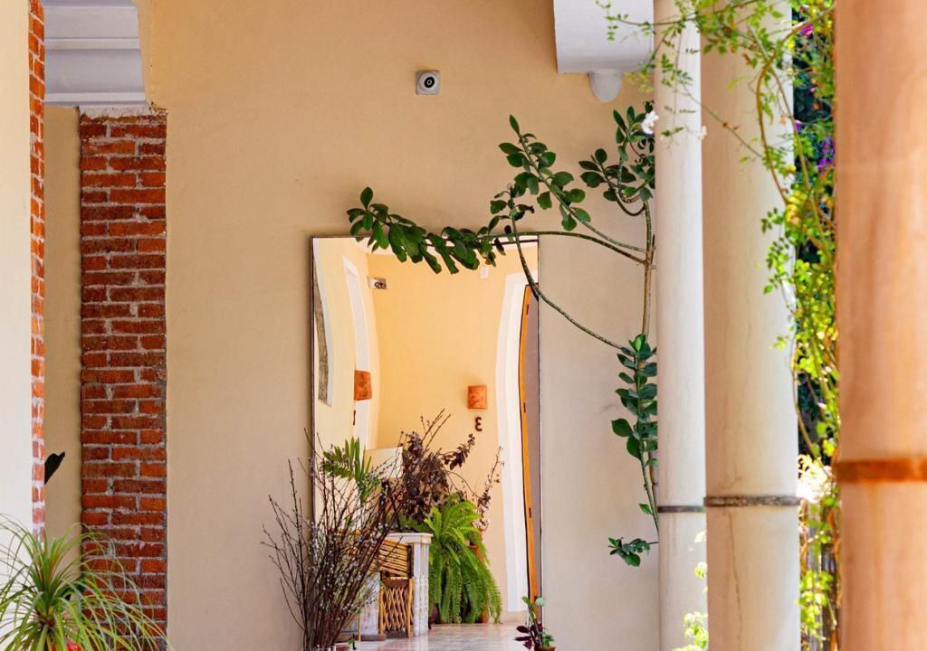 Photo of Outdoor in Coyoacan