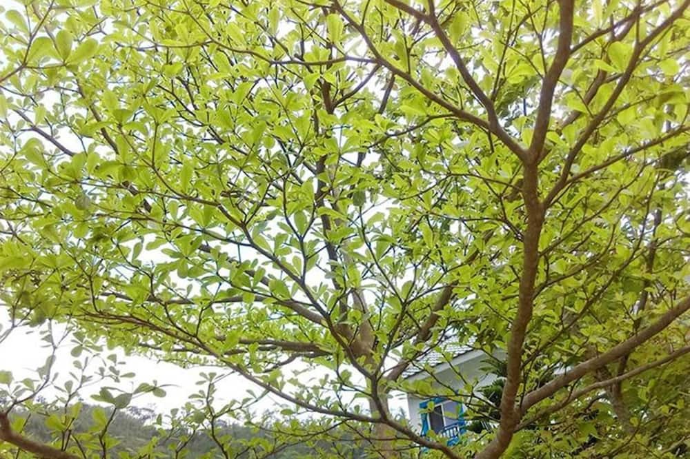 Photo of Outdoor in Nanzhuang