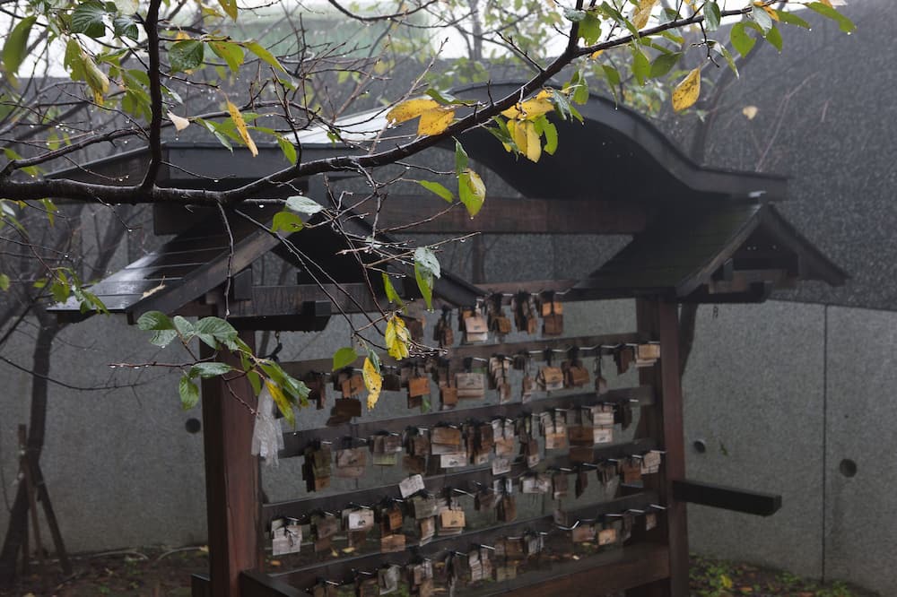 Photo of Outdoor in Jinshan