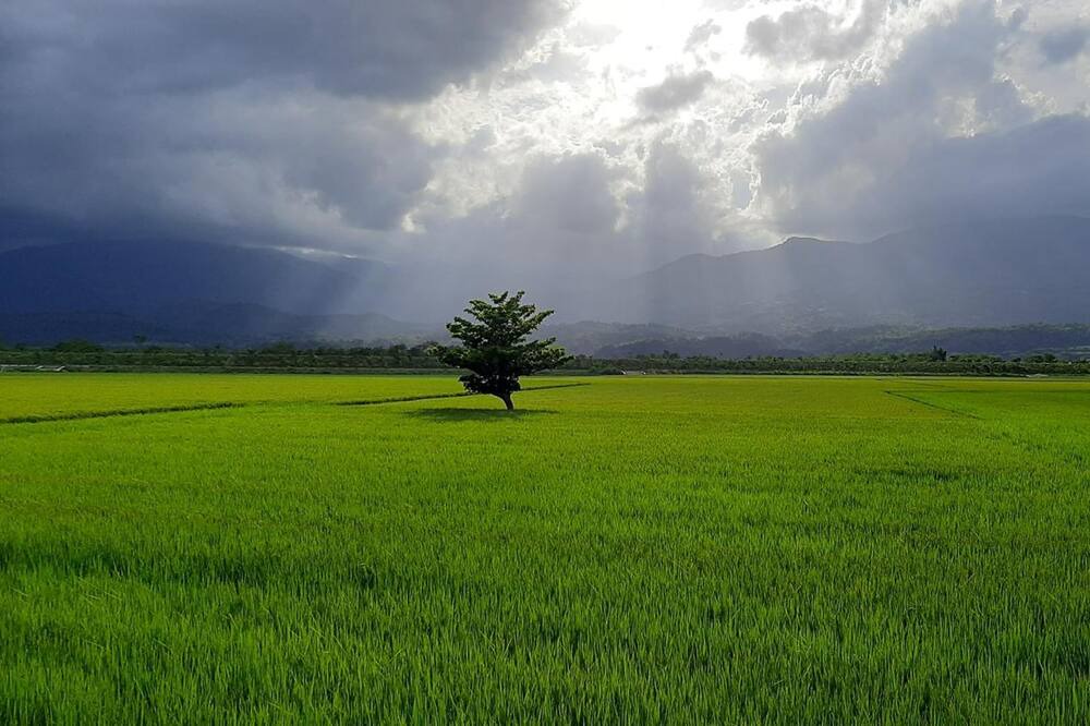 Photo of Outdoor in Yuli