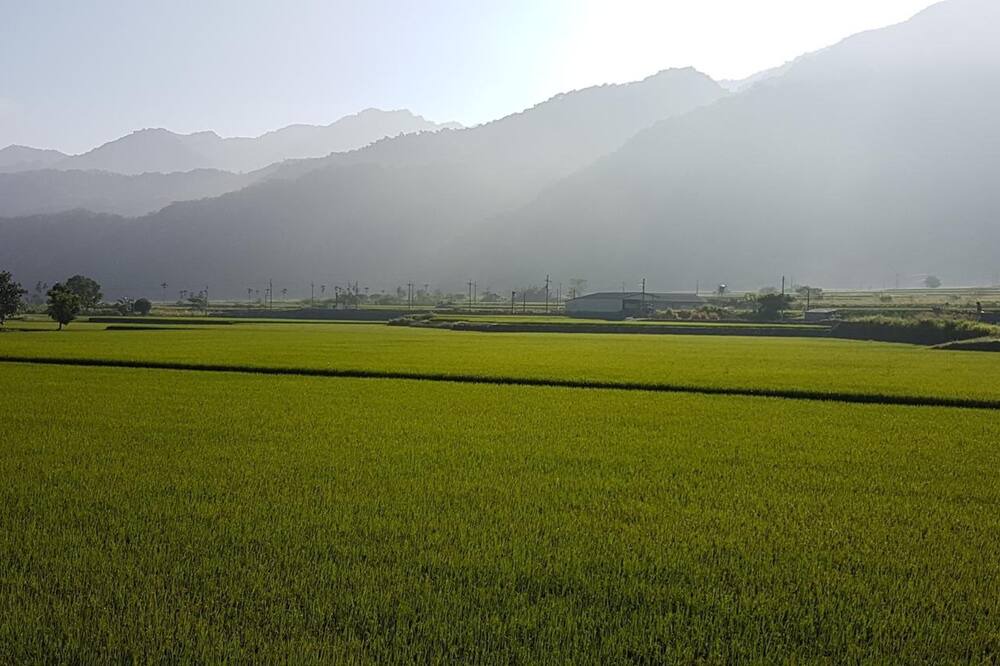Photo of Others in Yuli