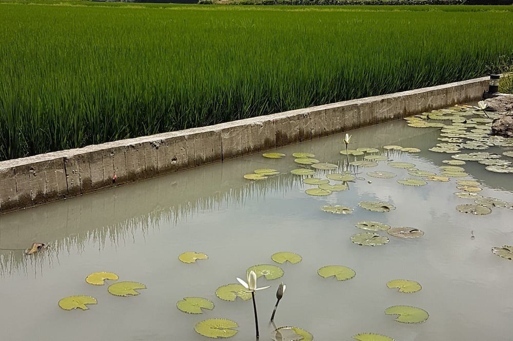Photo of Outdoor in Yuli