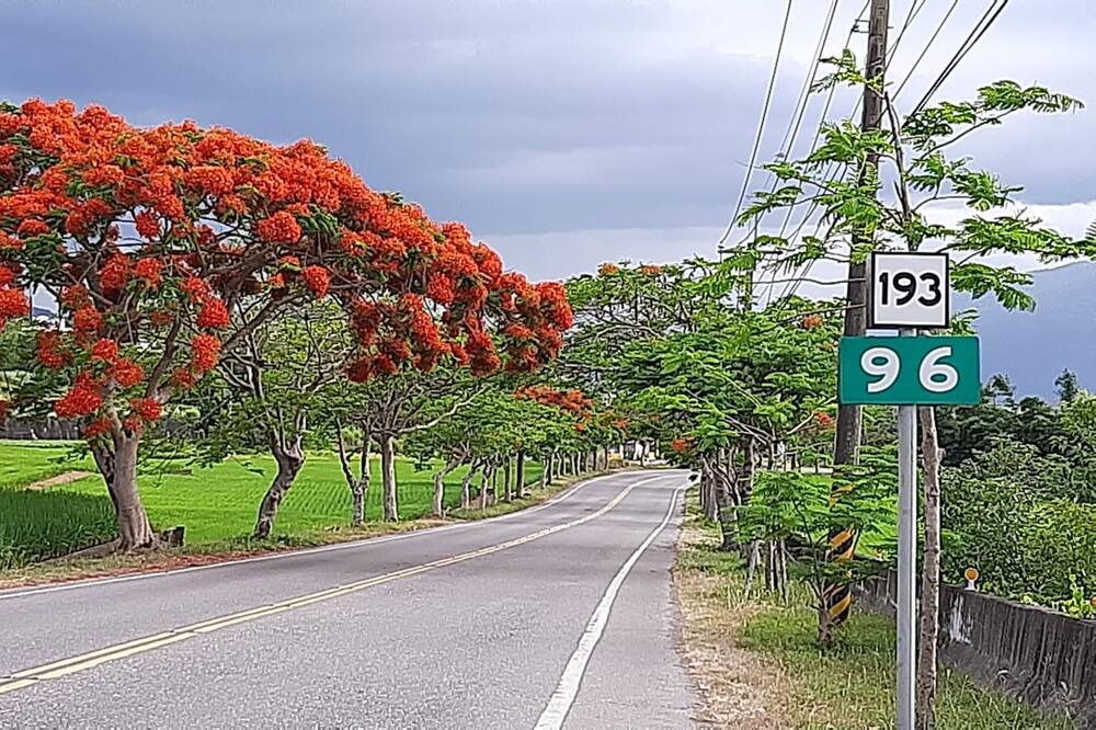 Photo of Outdoor in Yuli