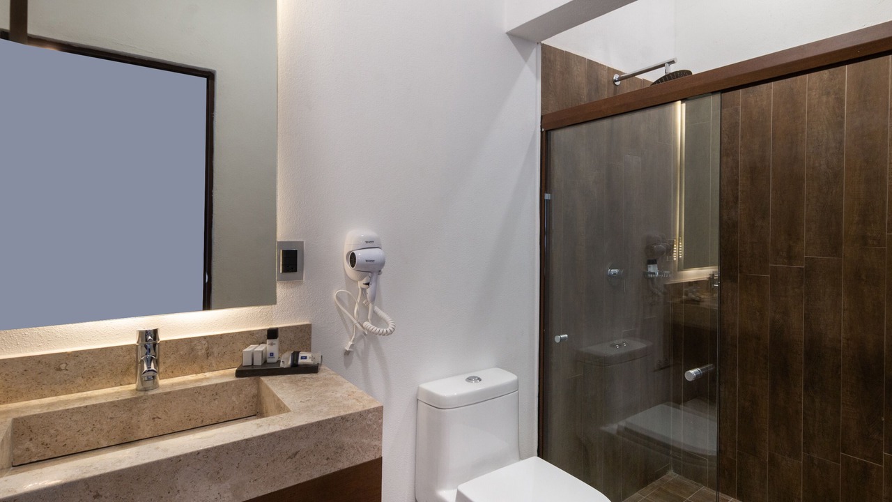 Photo of Bathroom in Irapuato