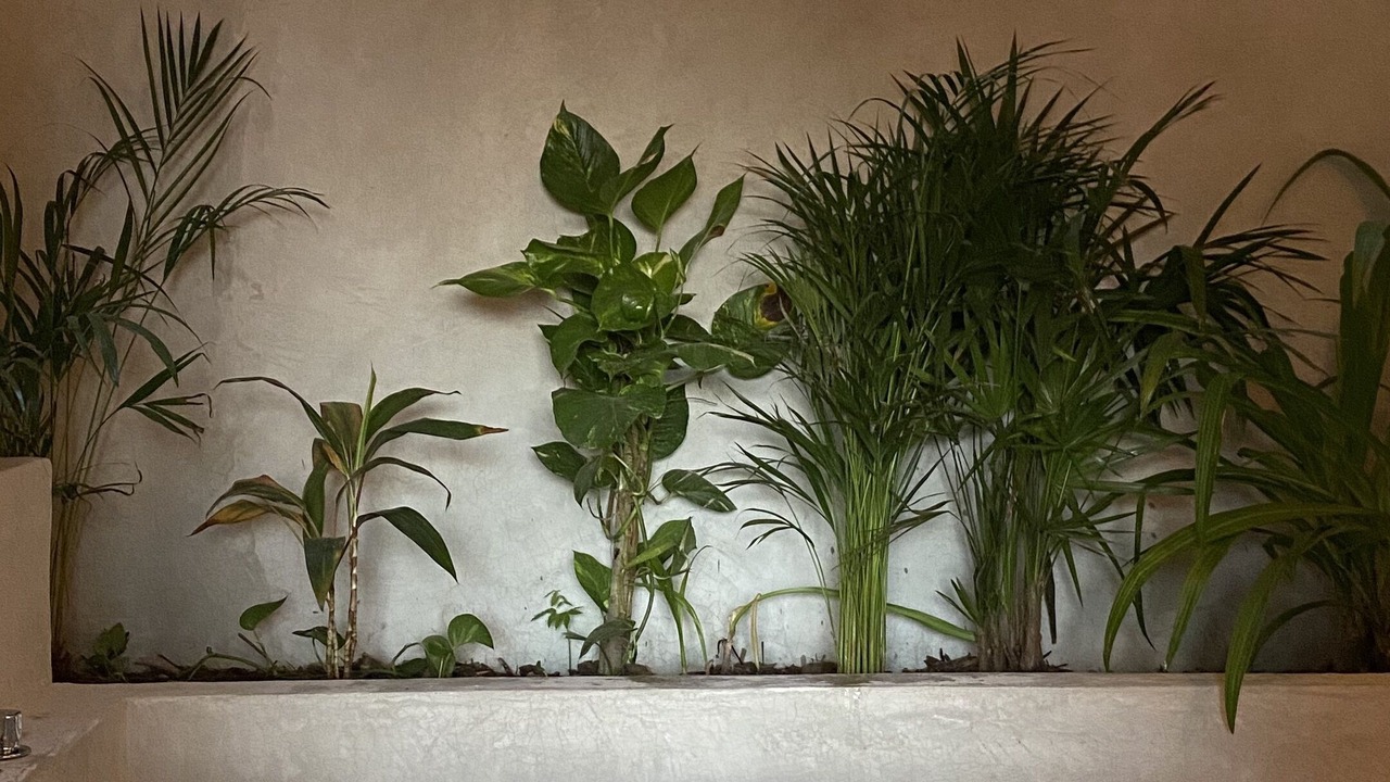 Photo of Bedroom in San Agustinillo