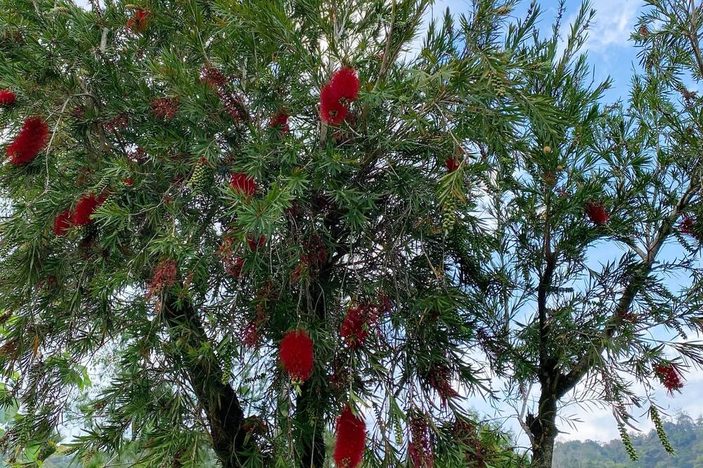 Photo of Outdoor in Guoxing