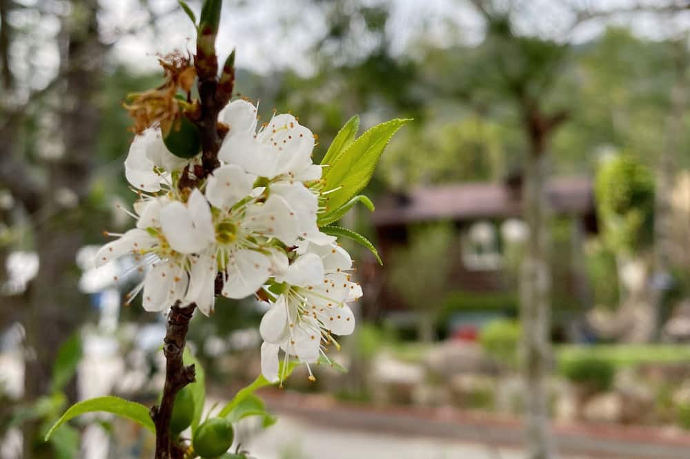 Photo of Outdoor in Guoxing