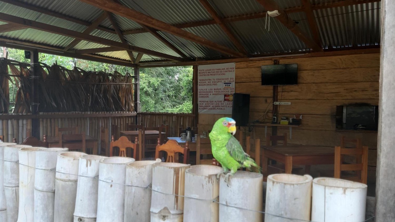 Photo of Outdoor in Lacanja