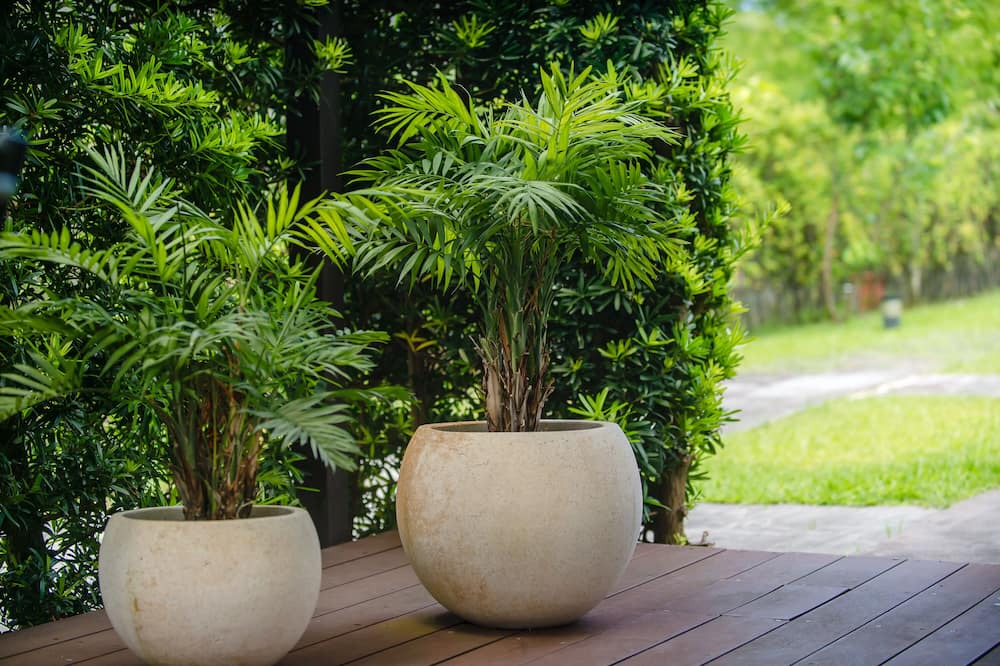 Photo of Patio Balcony in Jiaoxi