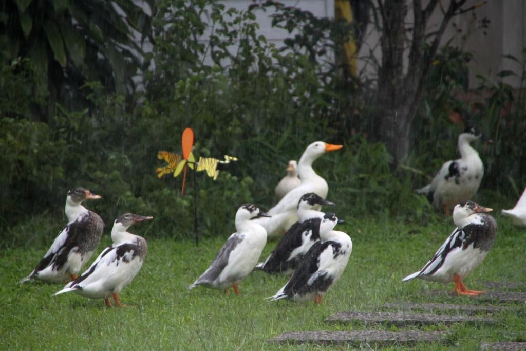 Photo of Outdoor in Shoufeng