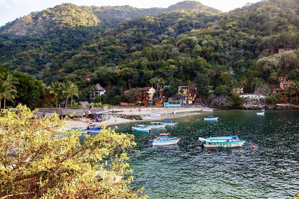 Photo of Others in Boca de Tomatlan