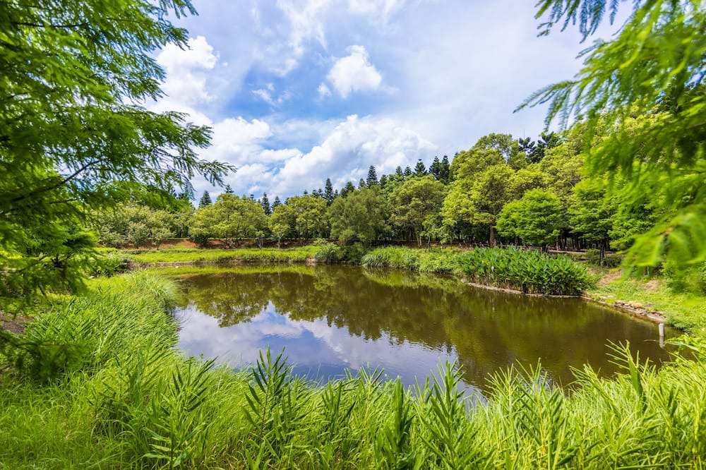 Photo of Outdoor in Zhongli District