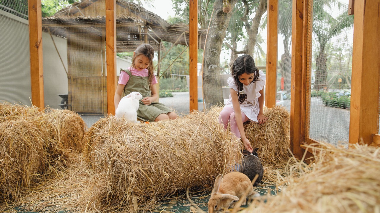 Photo of Outdoor in Ngu Hanh Son