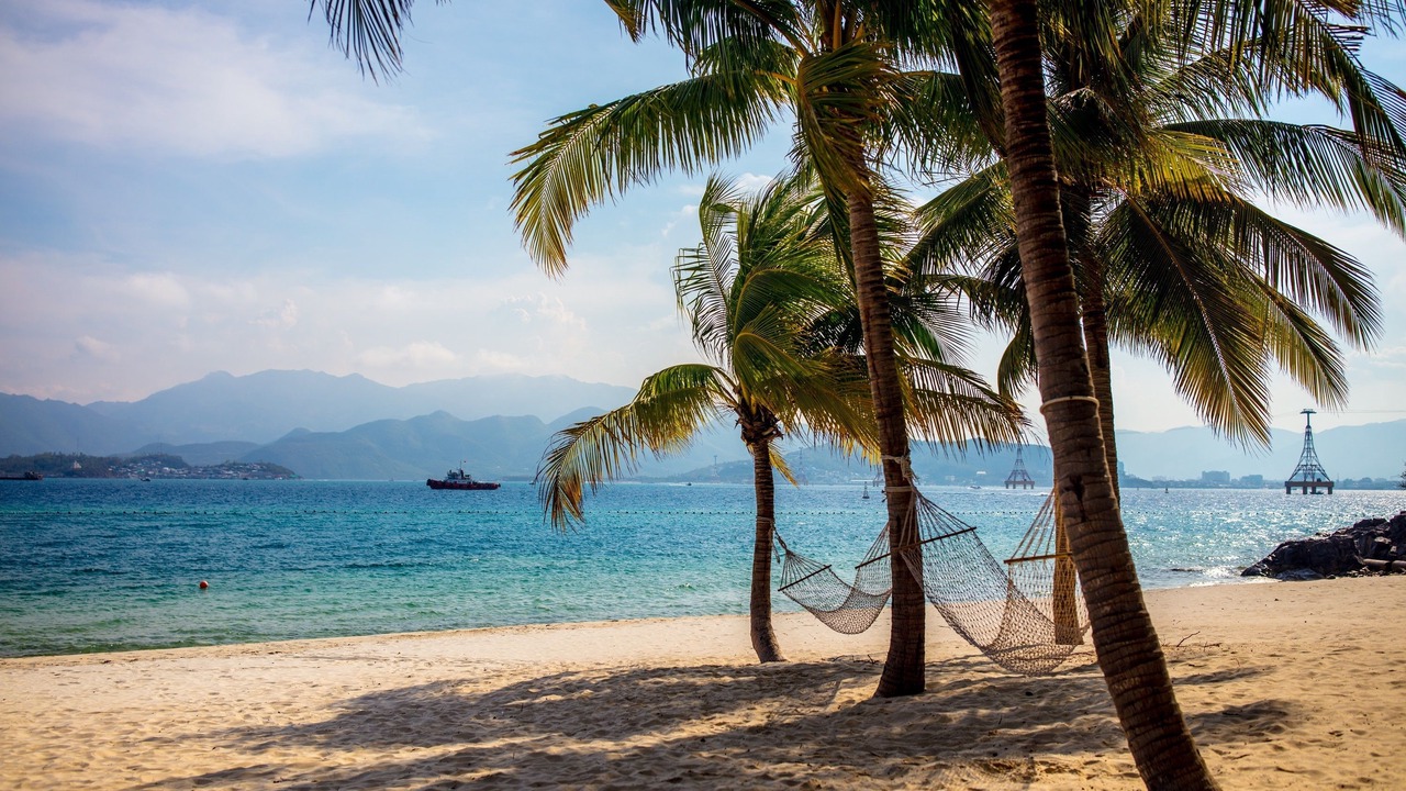 Photo of Others in Nha Trang