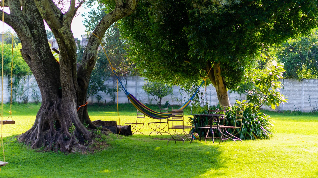 Photo of Others in Patzcuaro