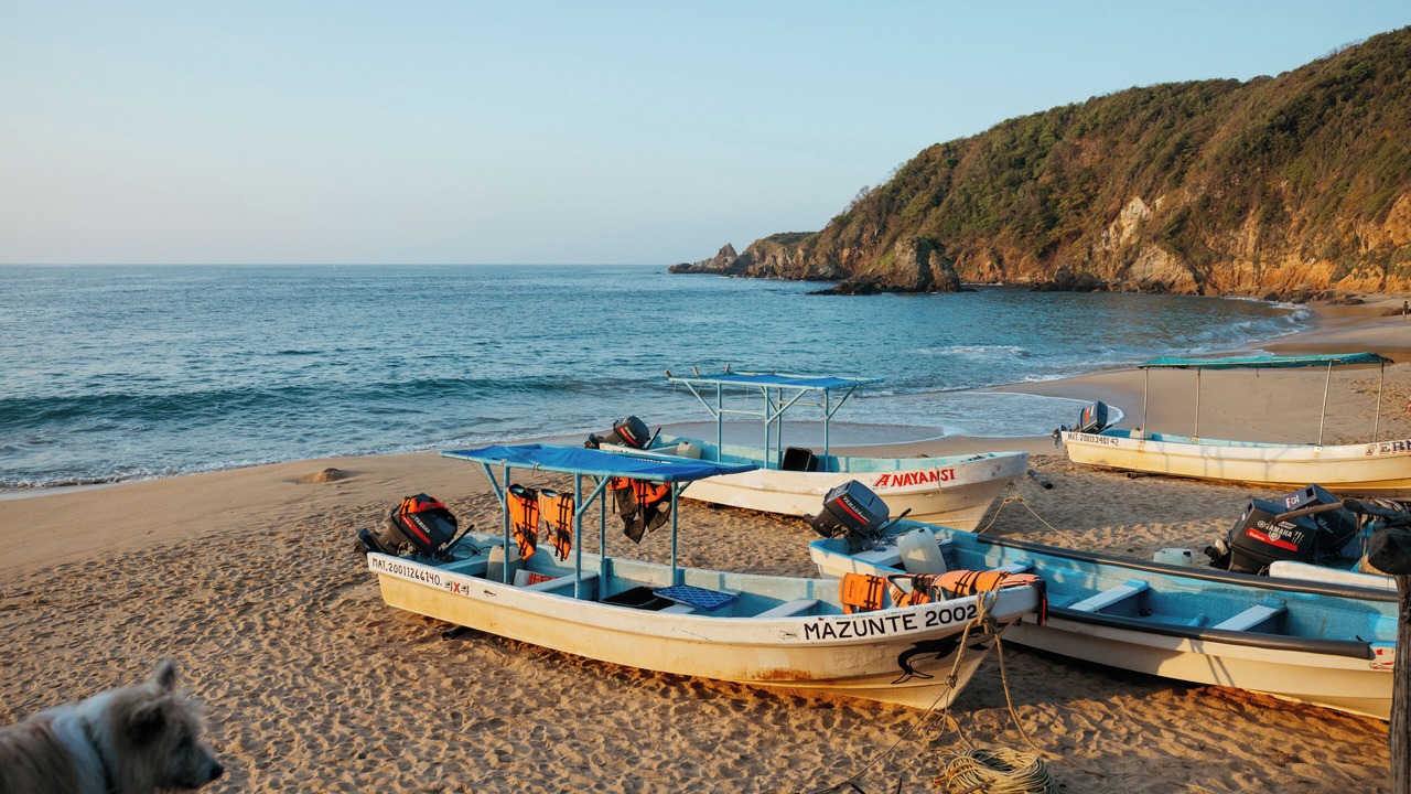 Photo of Others in Mazunte