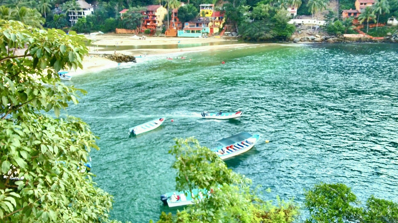 Photo of Others in Boca de Tomatlan