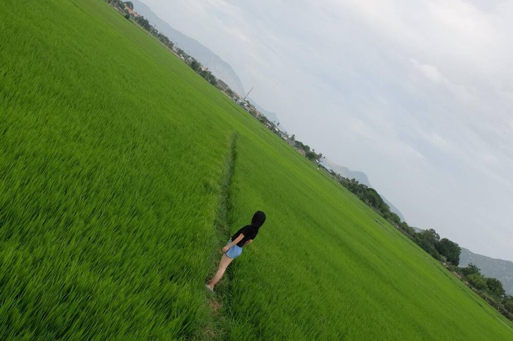 Photo of Others in Phan Rang