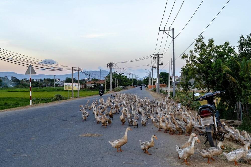 Photo of Outdoor in Phan Rang