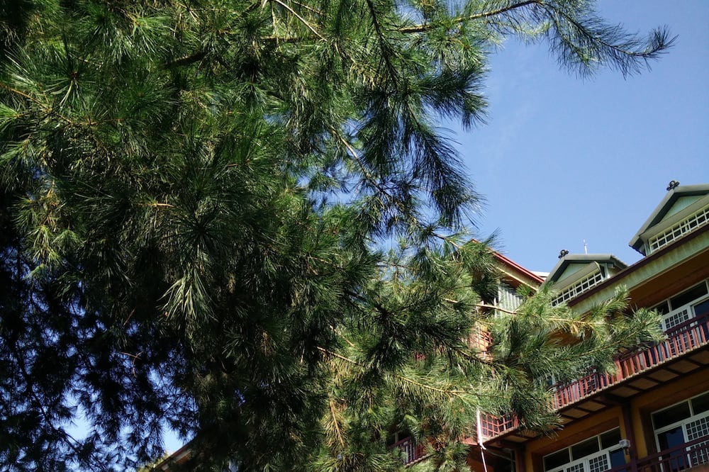 Photo of Outdoor in Xitou