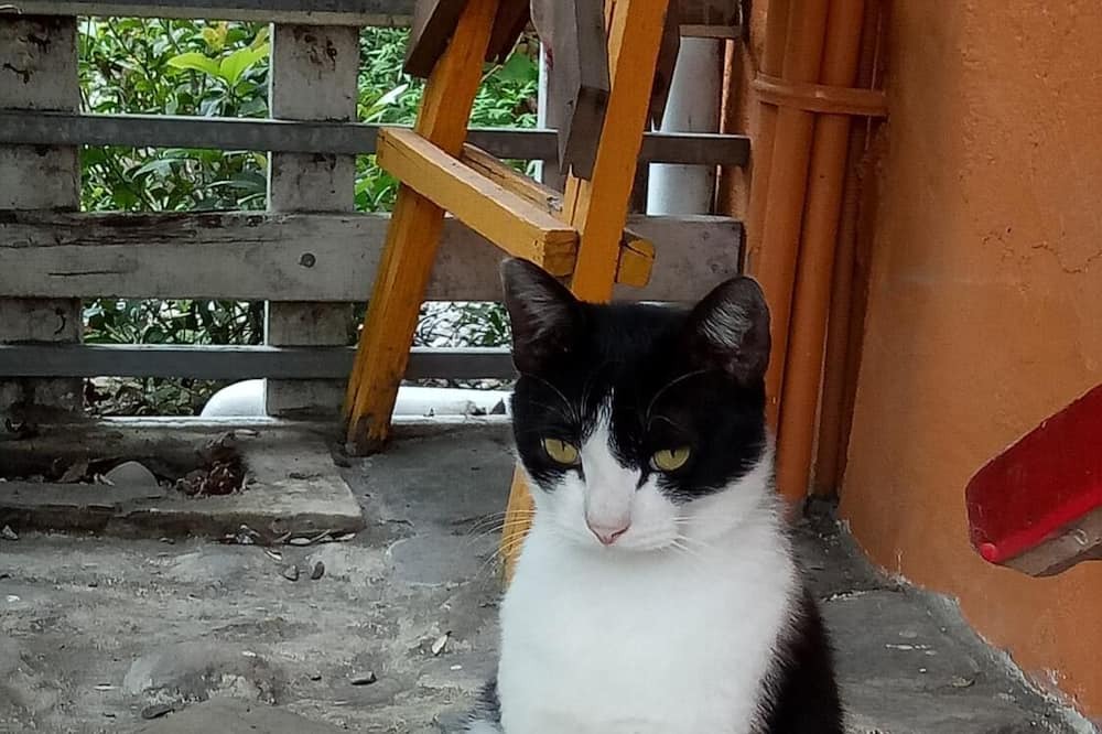 Photo of Outdoor in Sanxing