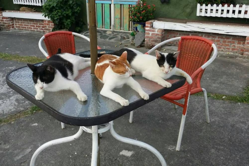 Photo of Others in Sanxing
