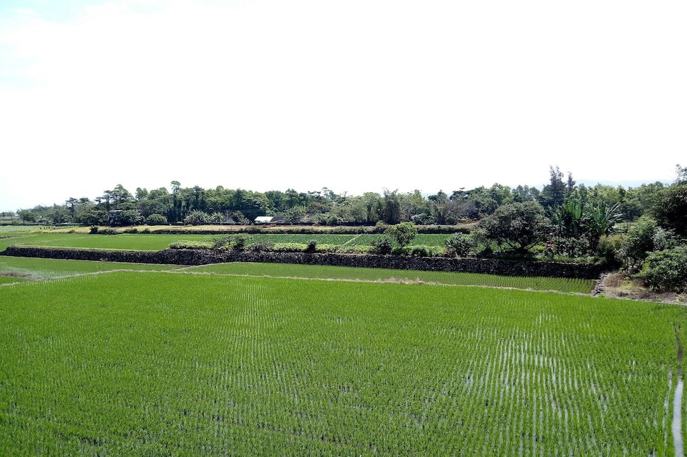 Photo of Patio Balcony in Ji'an
