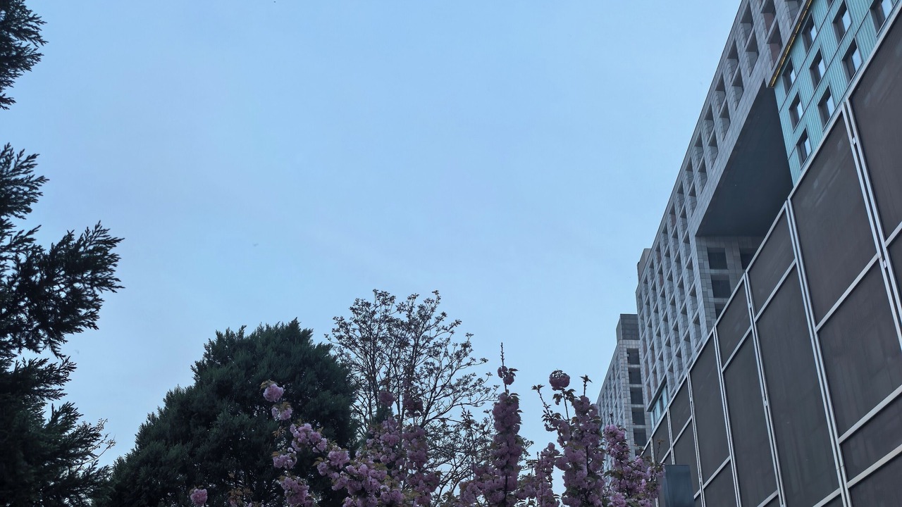 Photo of Outdoor in Middle Chaoyang