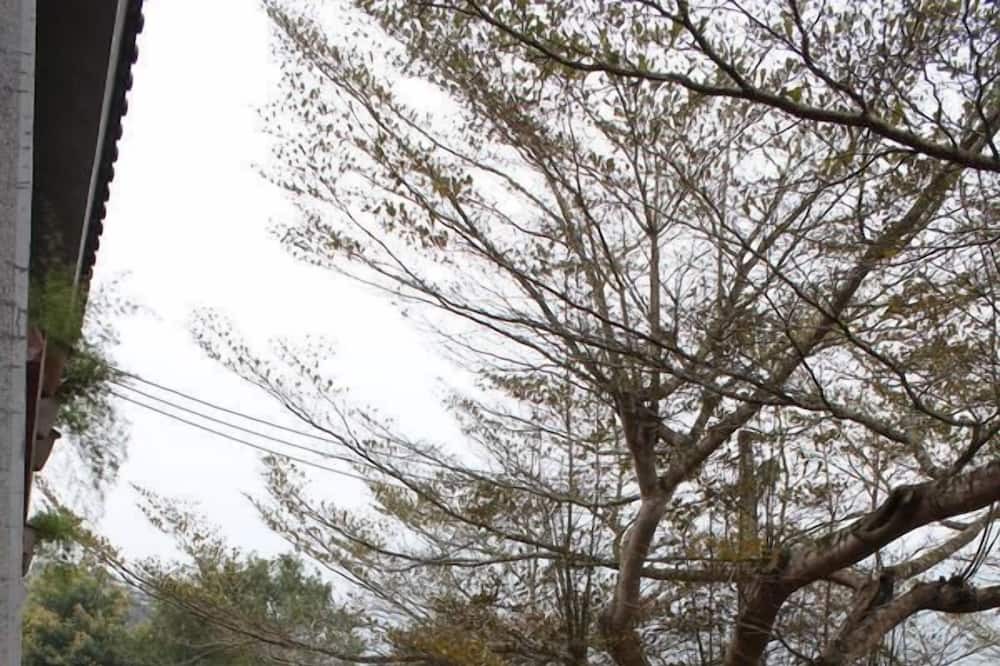 Photo of Outdoor in Nanzhuang