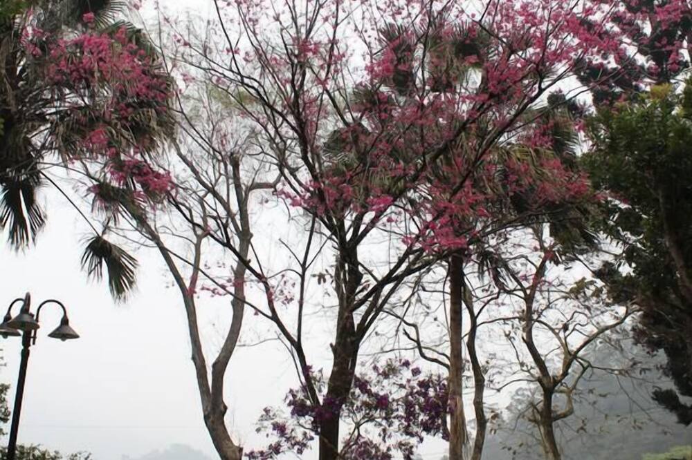 Photo of Outdoor in Nanzhuang