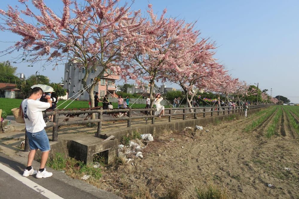 Photo of Outdoor in Tainan