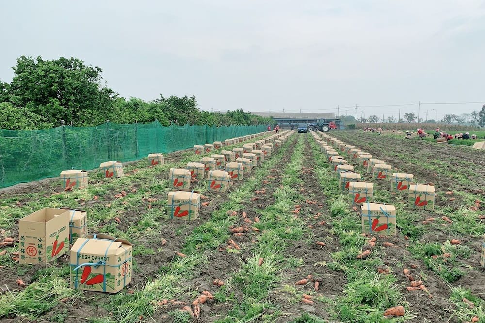 Photo of Others in Tainan